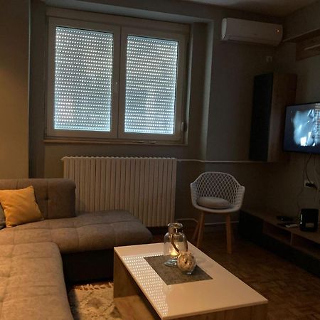 Apartment Dunja Center Welcome โนวีซาด ภายนอก รูปภาพ