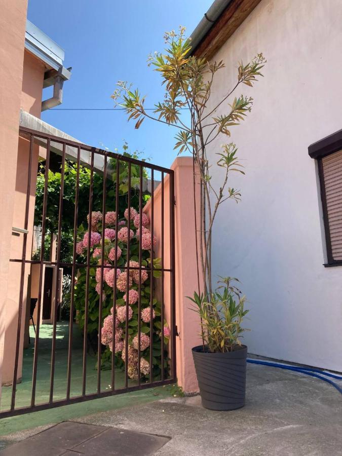 Apartment Dunja Center Welcome โนวีซาด ภายนอก รูปภาพ